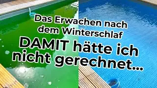 Wie mein Pool den Winter &uuml;berstanden hat - Erfahrungsbericht mit Tipps