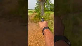 Smith and Wesson M&P 2.0. 40 Mag Dump ! #gun #viral