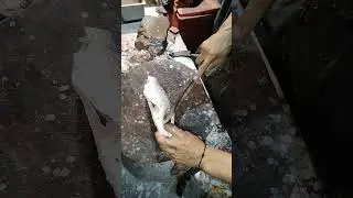 How To Cut Red Snapper Fish #redsnapper #fishcutting #seafood #short #viralshort