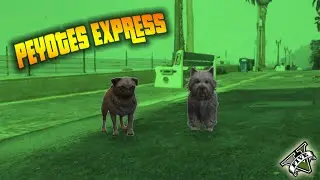 EL PEYOTE EXPRESS | GTA V ONLINE C/PsGames011