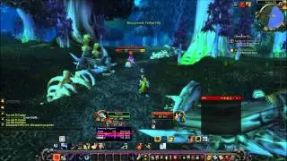 Beast Mastery Hunter leveling - 22 &frac12; to 23