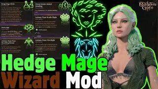 HEDGE MAGE Wizard Homebrew Mod in Baldur's Gate 3