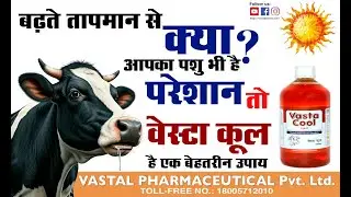 Best Medicine for Heat Stroke & Dehydration in Dairy Animals -डेयरी पशुओं के लिए हीट स्ट्रोक