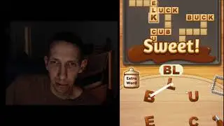 WORDCOOKIES CROSS COMMIS PACKAGE RAISIN LEVEL 11 SOLVED