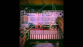 Habits formed in Cosmos #buchla #chaseblissaudio #somalabs