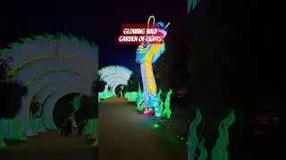 Glowing Wild Garden of Lights in Redding California#gardenoflights #glowingwild #redding #reddingca