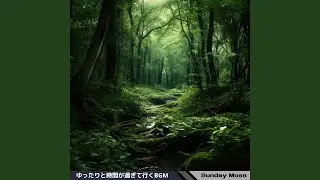 Soothing Shadows Drifting