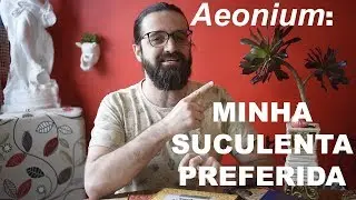 AEONIUM- Pronúncia correta e cultivo