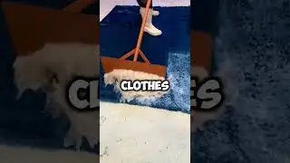 #horrorstories #reddit #scary #askreddit #reddithorrorstories #youtubeshorts