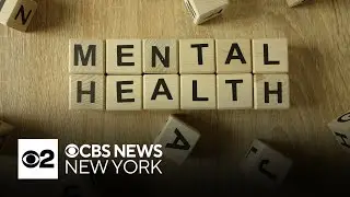 National Alliance on Mental Illness of NYC providing substantial support