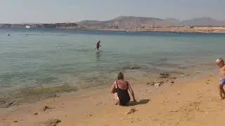 Wild beach, Sharm el sheikh, Ras Katy, near Beach Albatros Resort Sharm Elsheikh