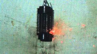 Crow Scarer vs  Fly zapper