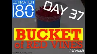 Day 37 &bull; BUCKET FULL of RED VINES &bull; Licorice &bull; Estimation 180