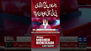 PTI Leadership Arrest | Meher Bokhari #imrankhan #pti #aliamingandapur