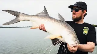 Threadfin Salmon in the Logan River | NEW RANGE DROPPING SOON