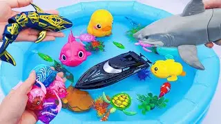 [🦈Toy ASMR🦈] Zuru Robo Alive  White Shark & Baby Shark & Huge Boat & Aquarium Toys ASMR Satisfying