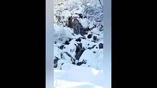 Murree Snowfall 2021 | #murree #shorts