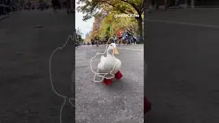 Impossible Pause Game (running duck)