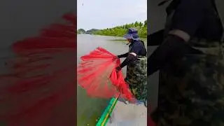 Fisherman Throw Net Technique | #BaitFishing #NetCasting #FishingSkills #OutdoorLife #FishermanLife