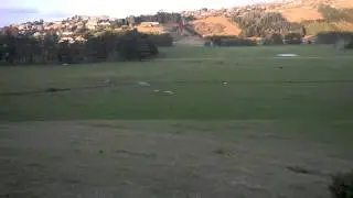 Flying Cracroft