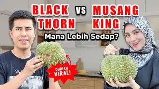 Mukbang Black Thorn vs Musang King ! Mana lagi sedap?