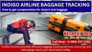 Indigo Airline baggage tracking | How to get compensation for airport lost baggage