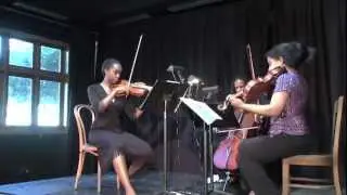 Grant Park Orchestra: Project Inclusion