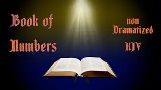 Numbers KJV Audio Bible with Text