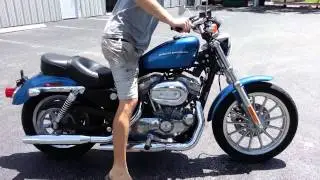 2005 Harley Davidson Sportster 883 For Sale!