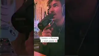 Cavaco + Wah Wah