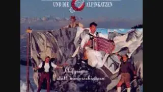 Hubert von Goisern - Goaßbeitl-Bauernbuam