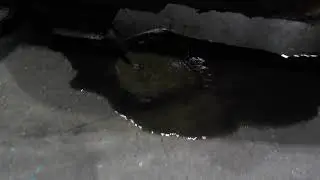CS 138096 OS 129978 CAMARA DE ACITE CON AGUA