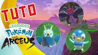 Tiplouf, Prinplouf et Pingoleon Baron - Tuto Legends Arceus EP22