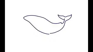 drawing a blue whale 🐋 (infinite painter)