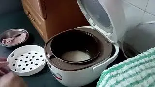 Cooking rice with the default rice button  (45 mins) and steam fish in Tefal mini rice cooker
