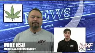Marijuana Legalization Update - 6/29/10