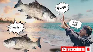 7Kgs  Monster Fish Catching |Amazing Fishing Video|Fishing#odiavideo #youtube #viralvideo #fishing 
