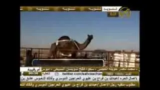 مشيحه لصاحبها هداج بن عبدالله ال مرعي المري