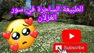 لن تصدق أنا هذا المكان موجود في سور الغزلان!!!!!