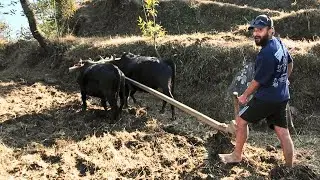 Bari Jotda Jotdai Euta Challa Harayo 😔 | Hamro Gaulai Jiwan
