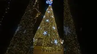 Musica para os Avós     ELe nunca estão sós