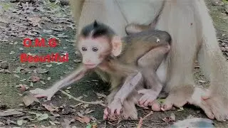 The baby monkey is not Stiff yet