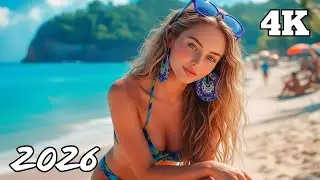 Island Chill 🍍 Tropical Deep House Lounge 4K UHD | CalmRelaxing
