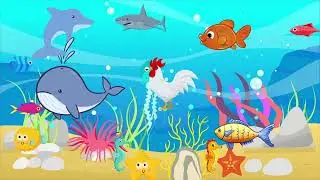 KIDS SPOTTING GAME WHICH ANIMALS DON'T BELONG ANIMATION KID FRIENDLY