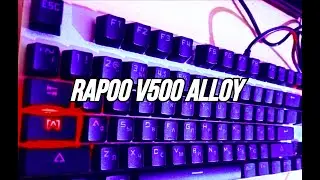 Анбоксинг клавиатуры RAPOO v500 alloy