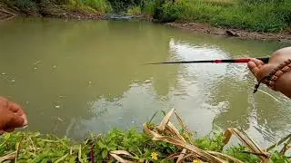 Strike Bertubi-tubi || Mancing melem teknik nutul spot dung Bundeng