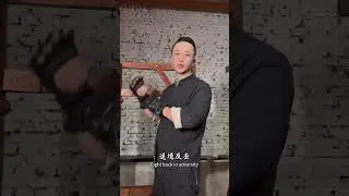 Has the cerebrum remembered it? Leave the rest to the cerebellum. #wingchun #martialarts #chineseku