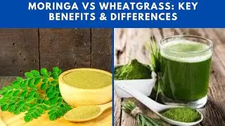 Moringa vs Wheatgrass:Which Superfood Wins?Benefits Differences & Side Effects of moringa wheatgrass