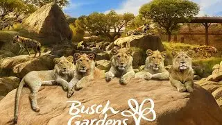 I WENT TO THE BUSCH GARDENS ZOO IN TAMPA FL (crazy animals)