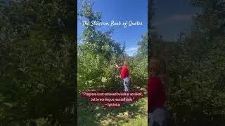 Fall Vibes🍎 #shorts #nature #quotes